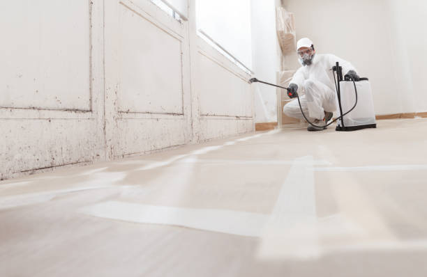 24/7 Emergency Basement Mold Remediation experts in Orrstown, PA