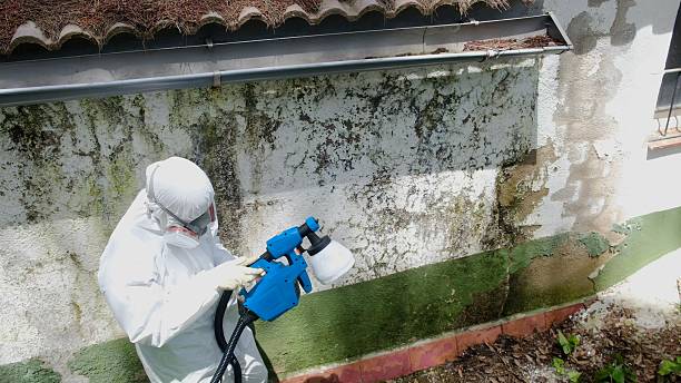 Top rated local Basement Mold Remediation specialists in Orrstown, PA